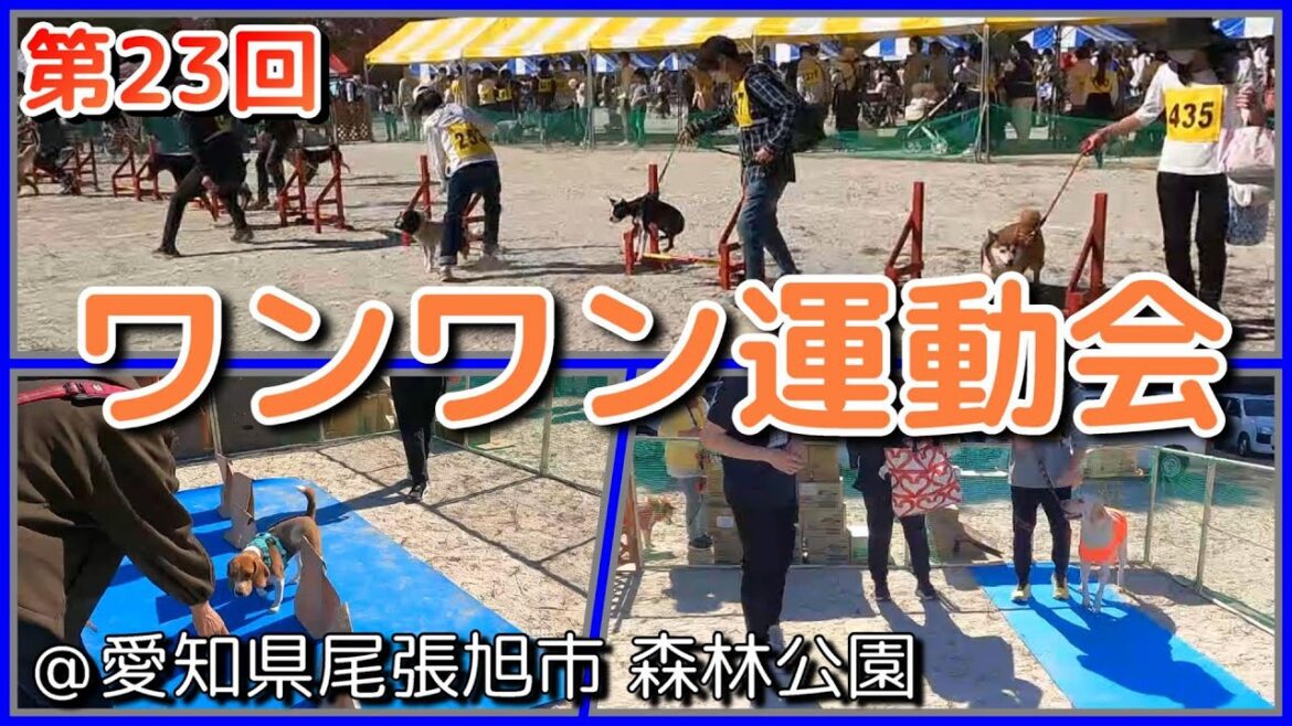 第23回ワンワン運動会 @愛知県尾張旭市森林公園