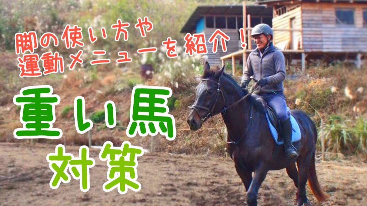 重い馬が動く？！｜重い馬対策！