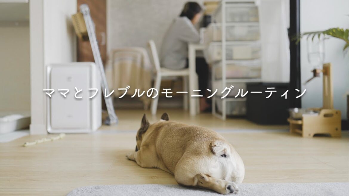ママとフレブルのモーニングルーティン／フレンチブルドッグ