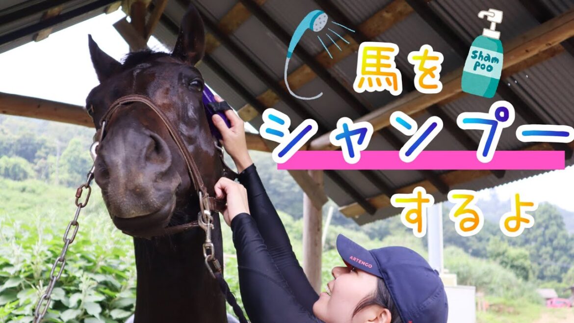 最近買ったシャンプーでダンちゃん洗ったよ! 最近買ったシャンプーでダンちゃん洗ったよ!