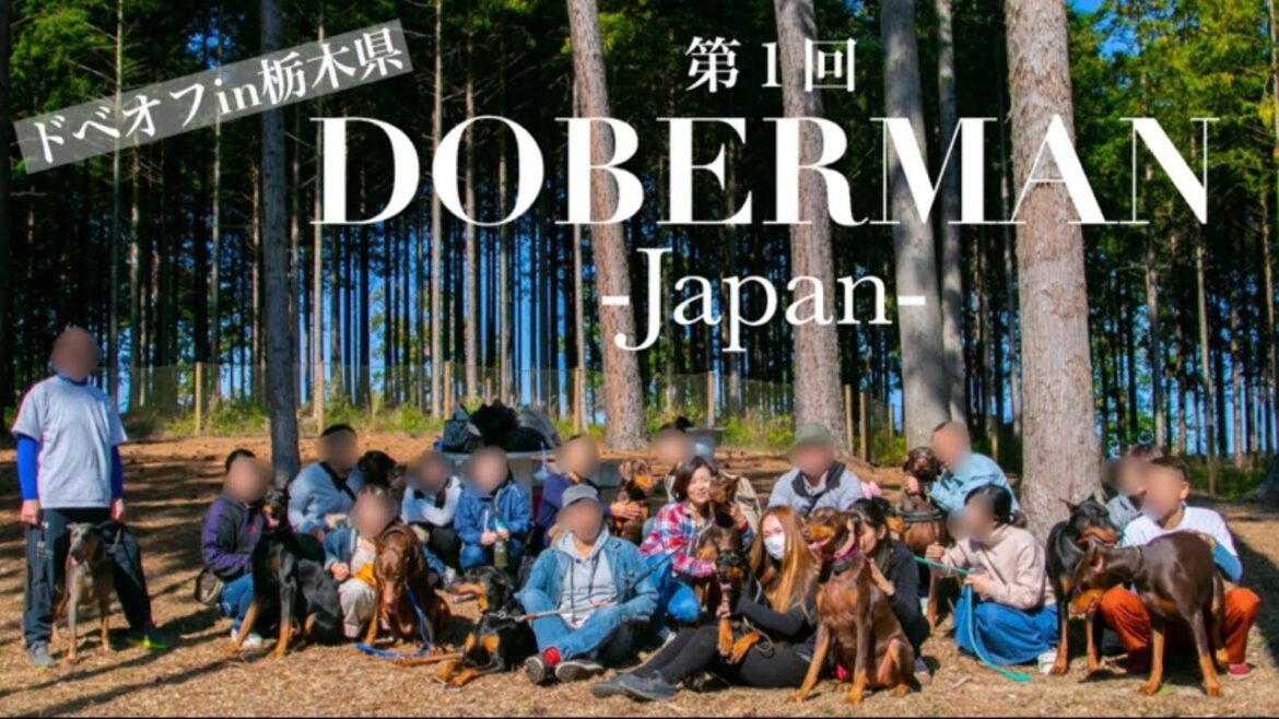 DOBERMAN-Japan★オフ会in栃木県【Doberman】