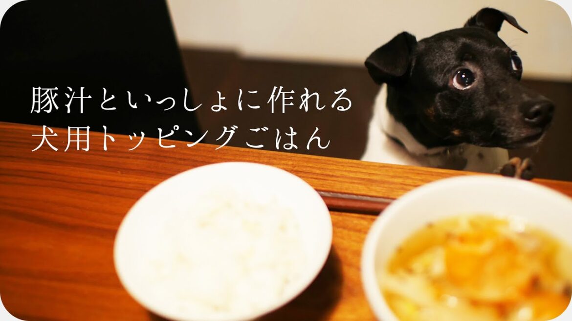 豚汁といっしょに作れる犬用トッピングごはん(日本テリアとの暮らし) 豚汁といっしょに作れる犬用トッピングごはん(日本テリアとの暮らし)