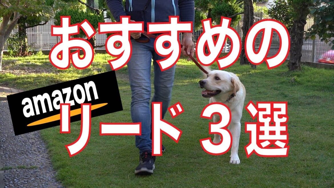 Amazonで購入・ラブラドールレトリバー（大型犬）におすすめのリード3選
