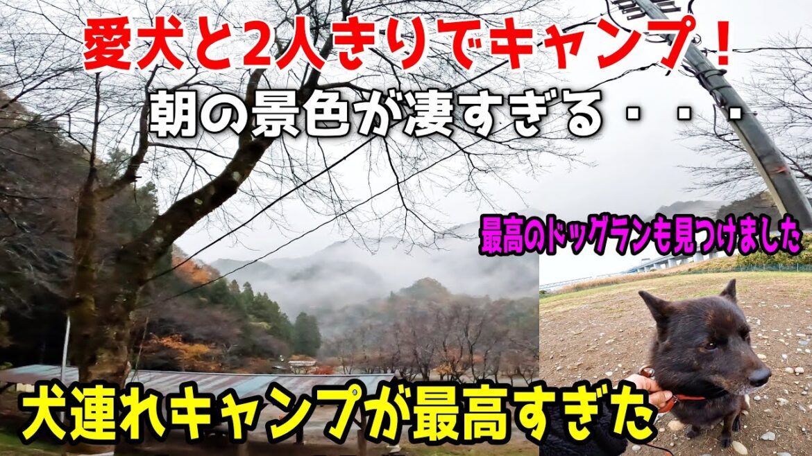 【甲斐犬一休と猫のしずく】愛犬とキャンプ後半！新たな夢を見つけました