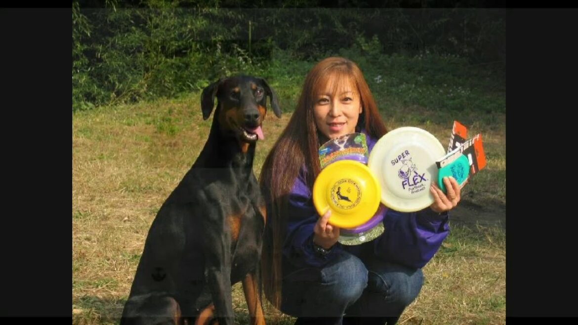 Remember Doberman's 氷に群がるドーベルマンズ