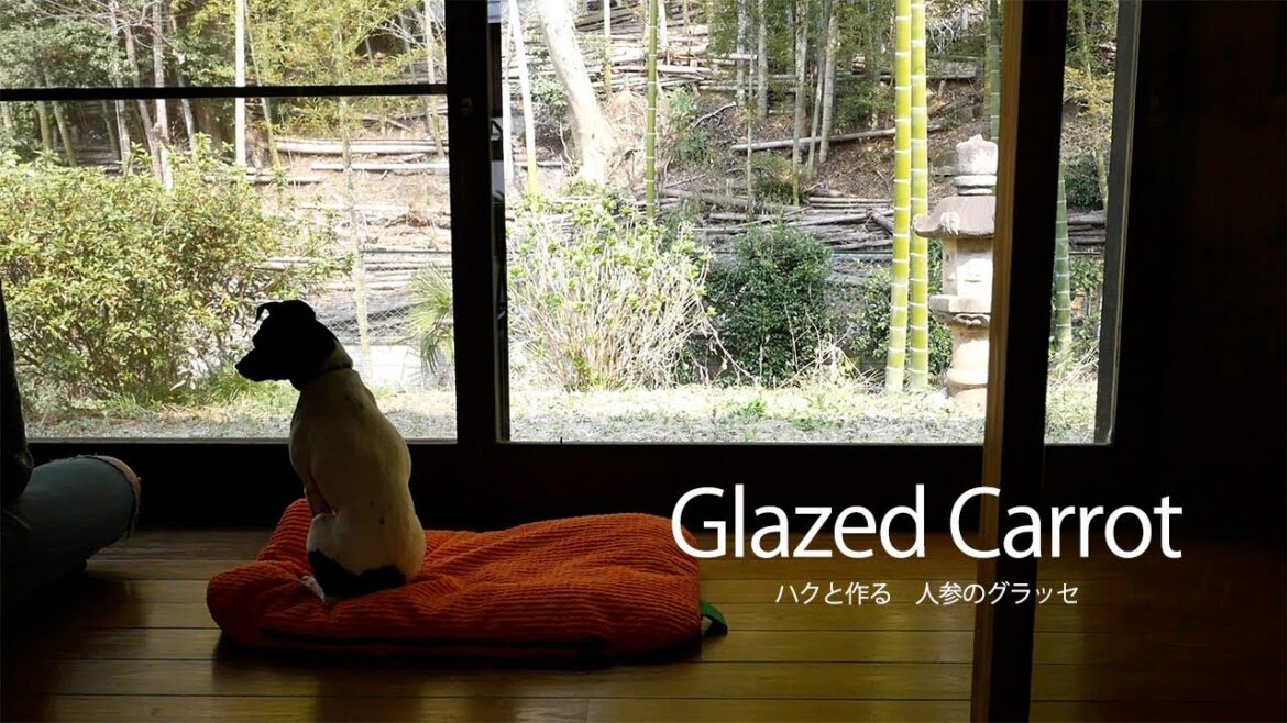 にんじんのグラッセとわんちゃん用おやつトッピング(日本テリアとの暮らし) にんじんのグラッセとわんちゃん用おやつトッピング(日本テリアとの暮らし)