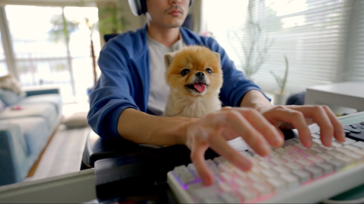 孤独な在宅ワークも、犬がいれば実にはかど・・・らない 孤独な在宅ワークも、犬がいれば実にはかど・・・らない