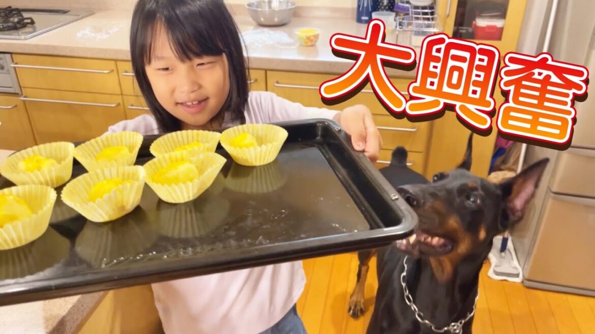 娘が贅沢に作ったおやつをドーベルマンにあげたら瞬殺！！