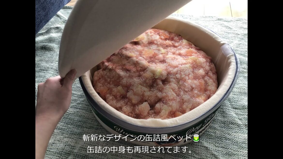 【16日目】パパがベッドを買ってきてくれたよ♪