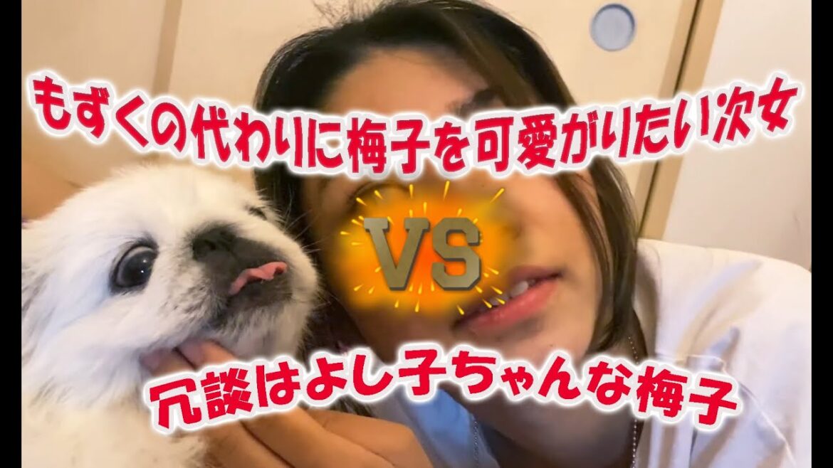 梅子にもずくの代わりになって欲しい次女が…不毛な時間をすご様子がこちらです… 梅子にもずくの代わりになって欲しい次女が…不毛な時間をすご様子がこちらです…