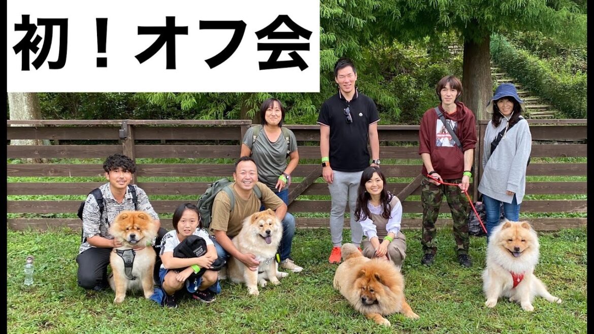 【チャウチャウまみれ】初めてのオフ会♪【都内お出かけ】