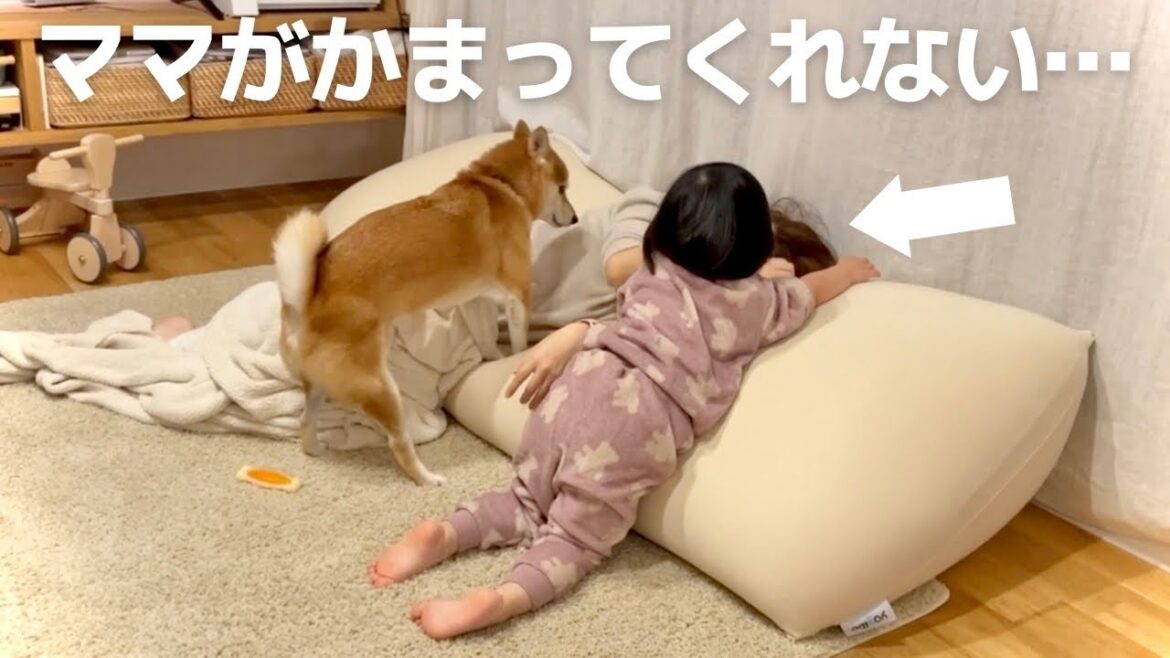 仕事で疲れたママがかまってくれず隣でイチャイチャし始める柴犬と娘