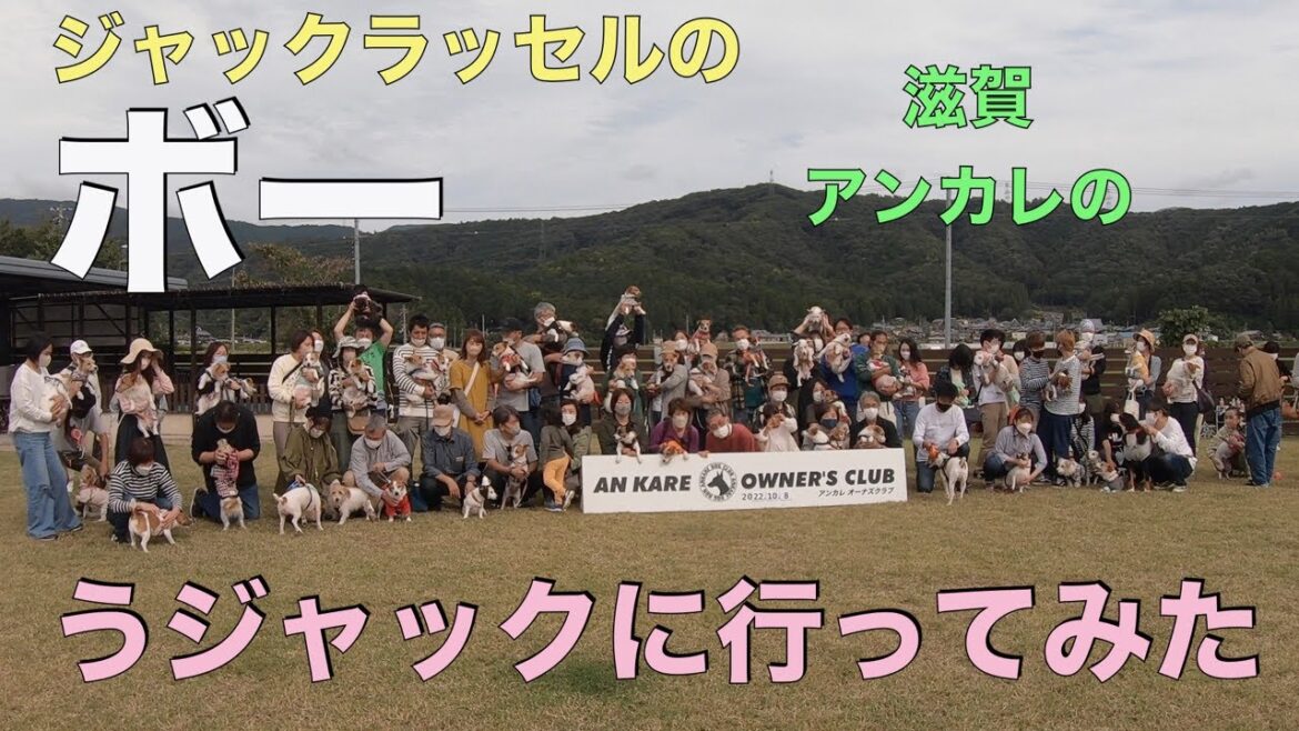 ジャックラッセルのボー　滋賀のうジャックに行ってみた