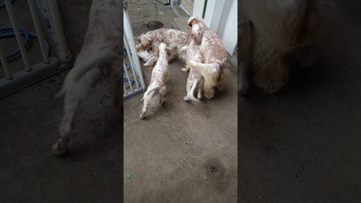 papa・mamaと遊んだよ♪