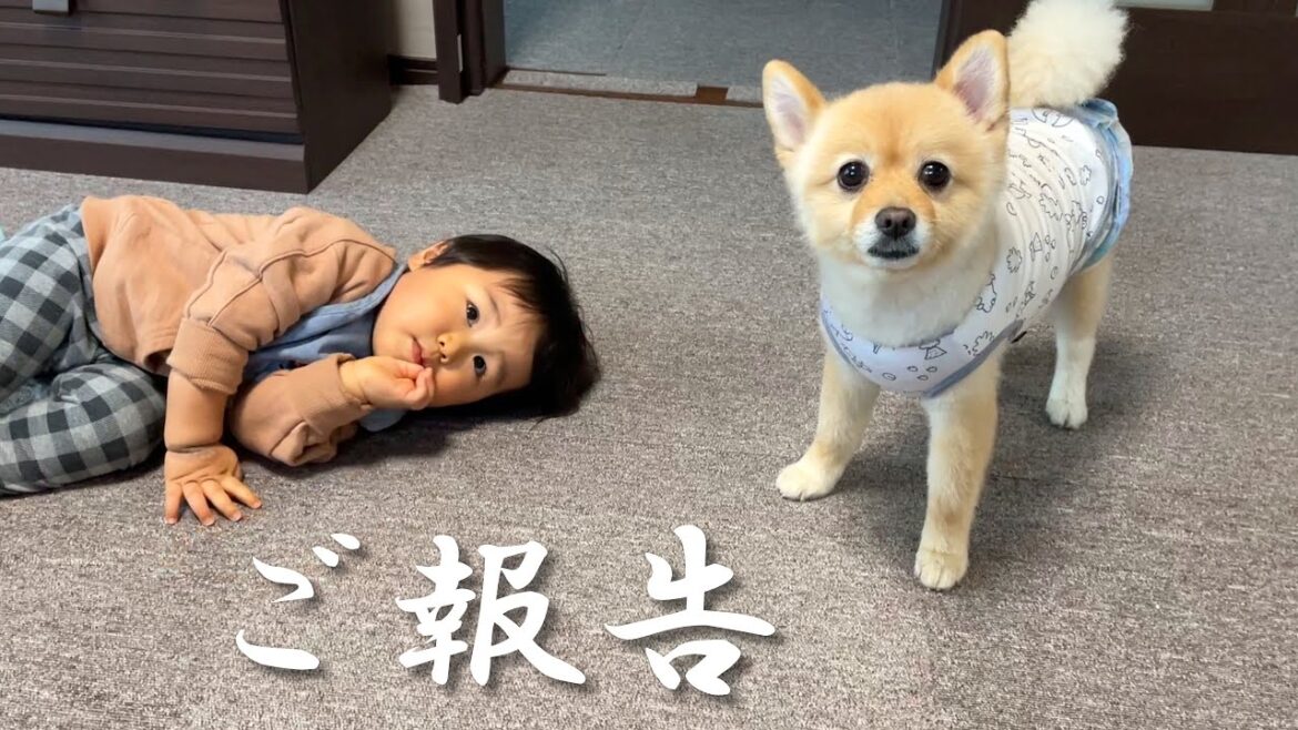 【ご報告】甥っ子の成長を温かく見守ってくださった皆様へ 【ご報告】甥っ子の成長を温かく見守ってくださった皆様へ