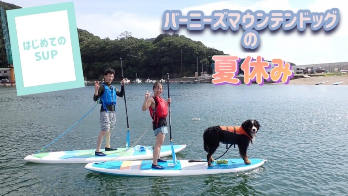 バーニーズマウンテンドッグの夏休み_その②