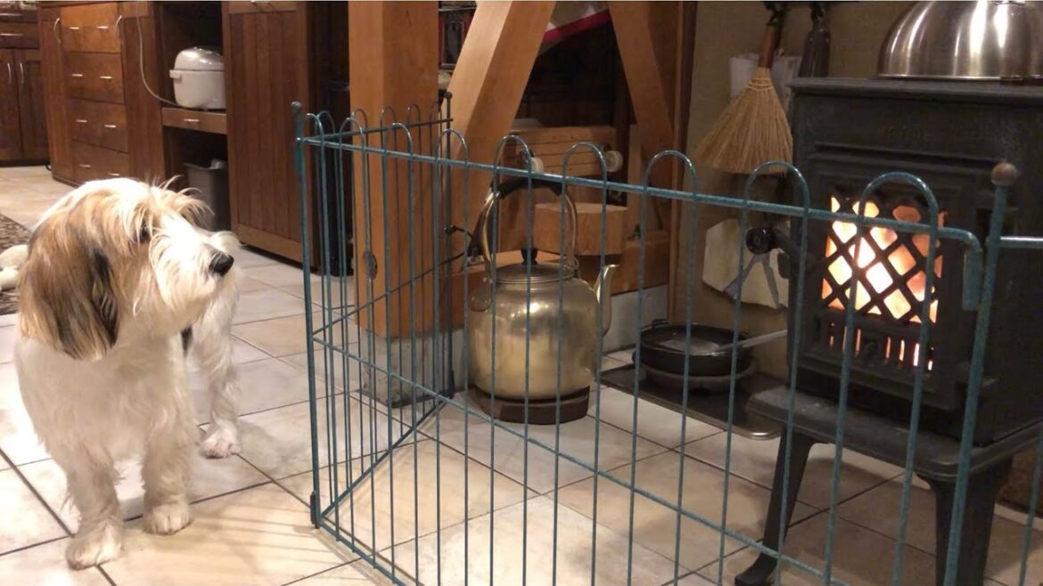 【2021冬】薪ストーブの季節がやってきました【プチバセ】