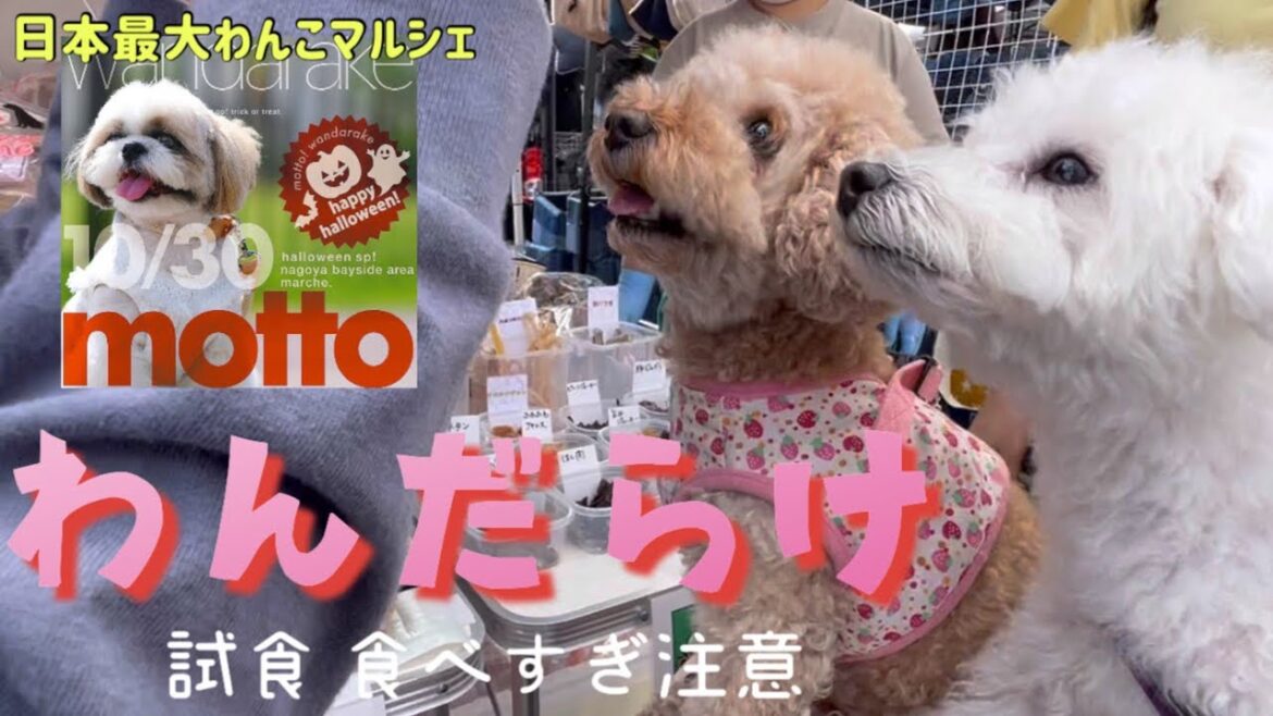 【わんだらけ】in名古屋　試食をおやつ食べ放題と勘違いする犬w