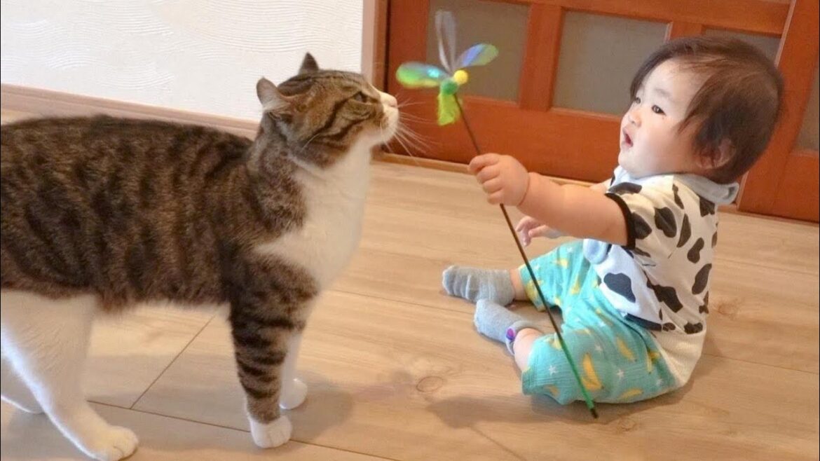 生まれて初めて猫じゃらしを手にした赤ちゃん、猫と仲良く遊ぶ姿に癒される