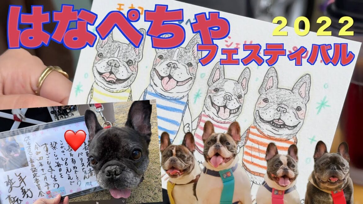 はなぺちゃフェスティバル 2022 【 フレンチブルドッグ French_bulldog  】 きよし さんと くまし君に会いました