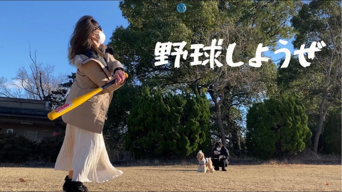 ぽてにノック⚾️がしたいんじゃ【アメリカンコッカースパニエル】 ぽてにノック⚾️がしたいんじゃ【アメリカンコッカースパニエル】