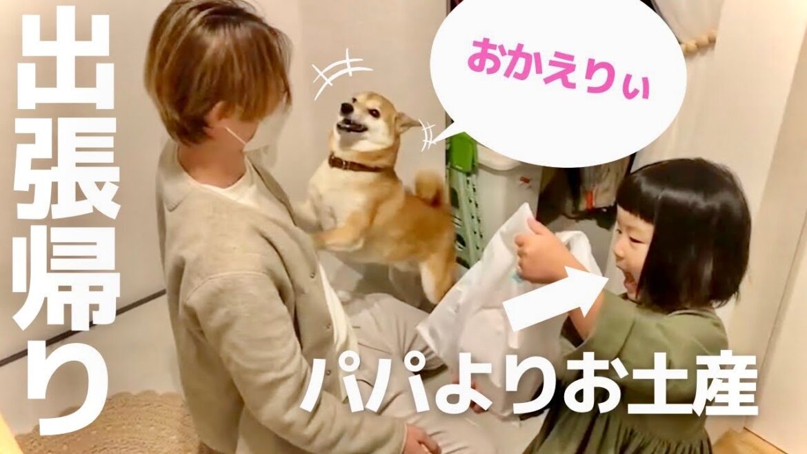 パパが出張から帰宅！嬉しさを超えた柴犬と正直な気持ちを抑えられない娘