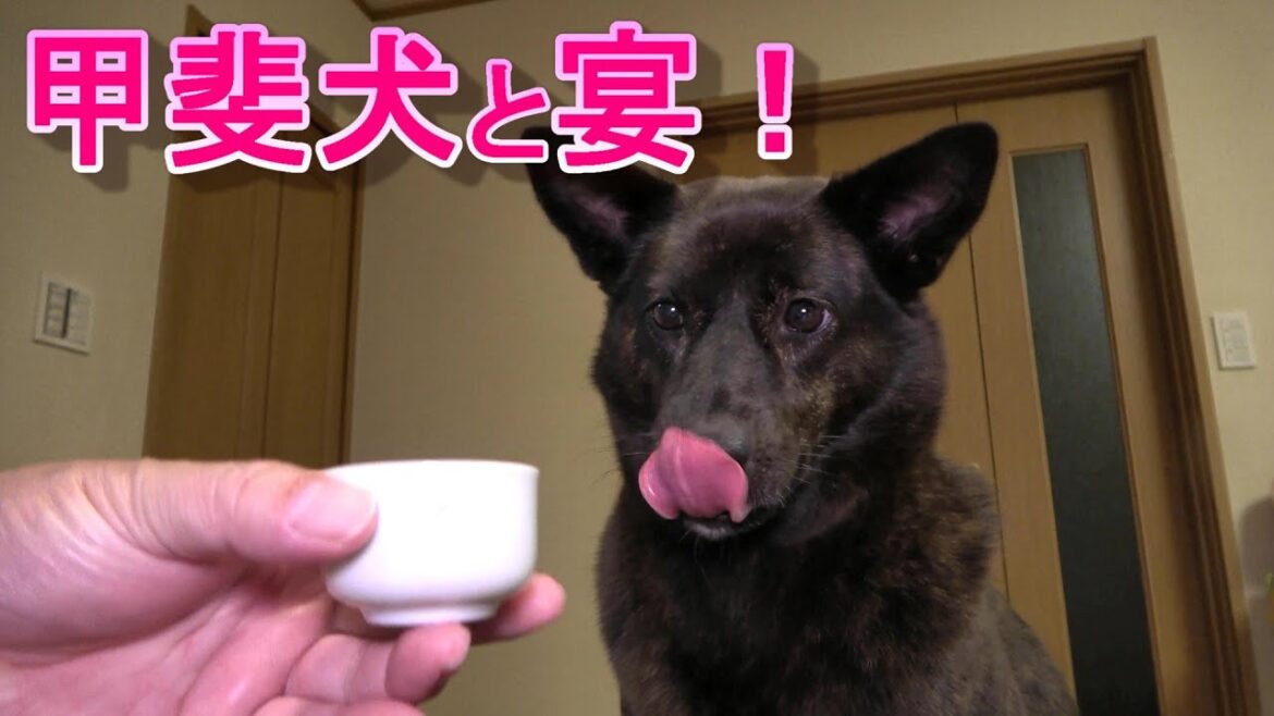 宴で催促の訴え！