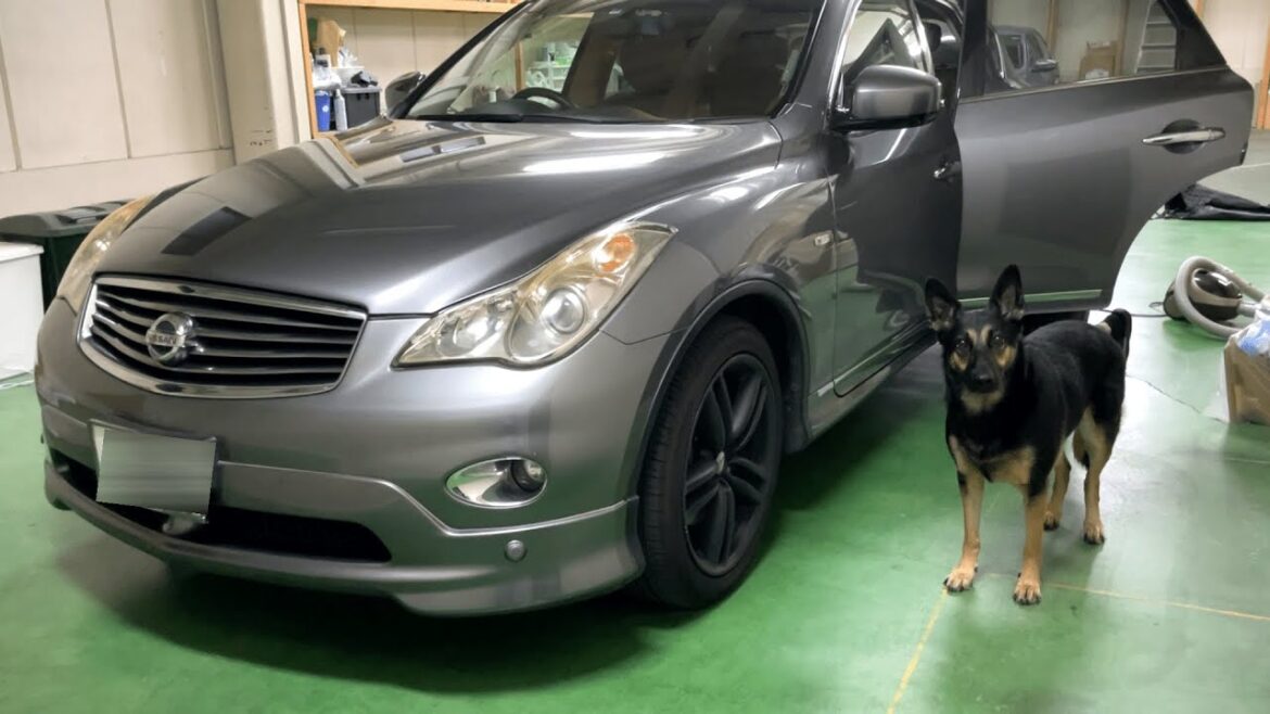 愛犬が大好きだった車とお別れすることになりました【ジャーマンシェパード】 愛犬が大好きだった車とお別れすることになりました【ジャーマンシェパード】