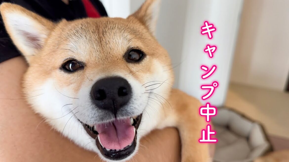 キャンプを中止せざるを得ない状況になりました キャンプを中止せざるを得ない状況になりました