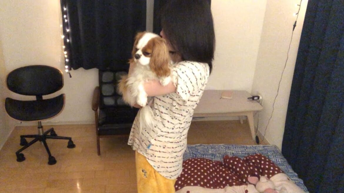 深夜の夜泣きがすごい愛犬…しょうがないので…