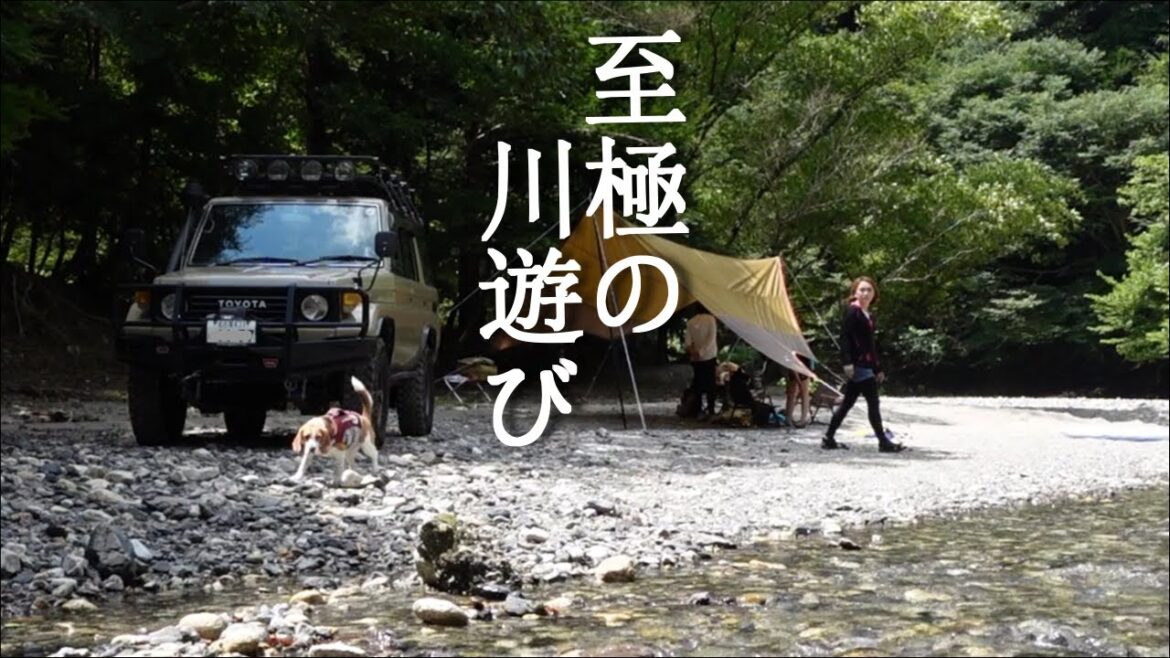 愛犬との初めての川遊びは最高の時間だった