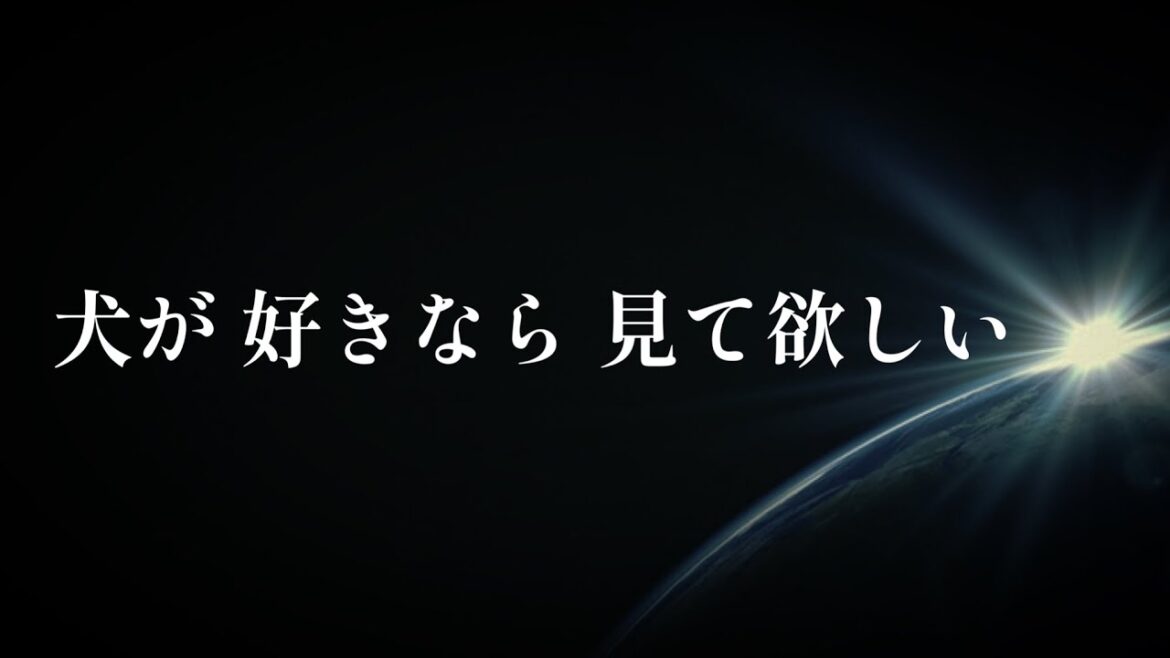 【犬の日記念】ビーグルまみれ！30分タイマー作業用動画