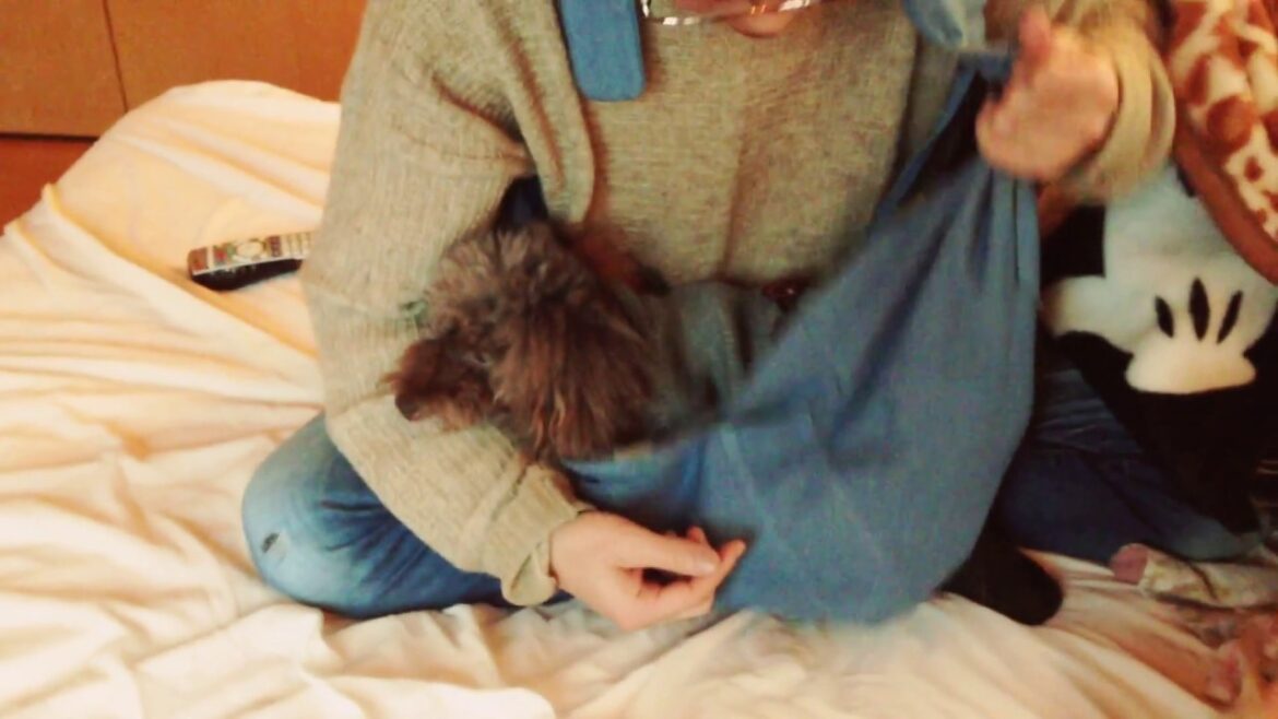 スリングにいそいそ入るプーリー スリングにいそいそ入るプーリー