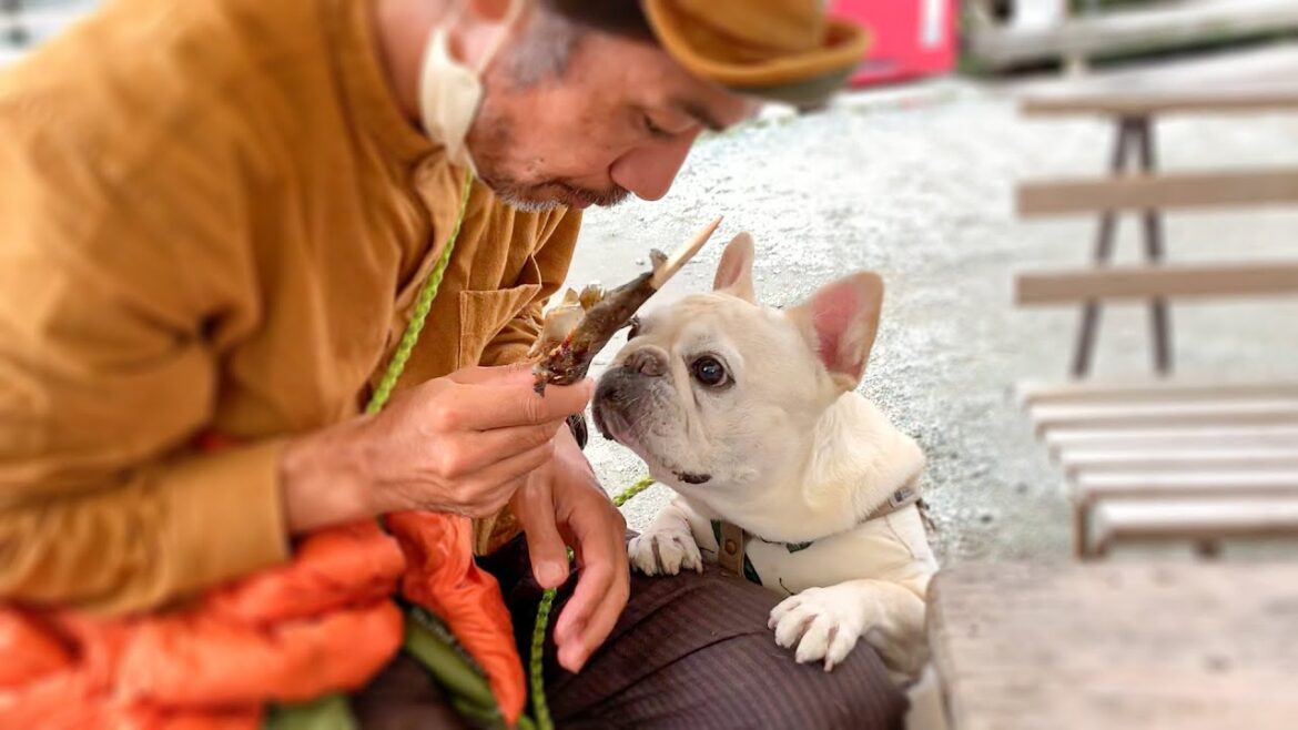 川遊びができるドッグランに行ってみたら【犬とおでかけ関東】