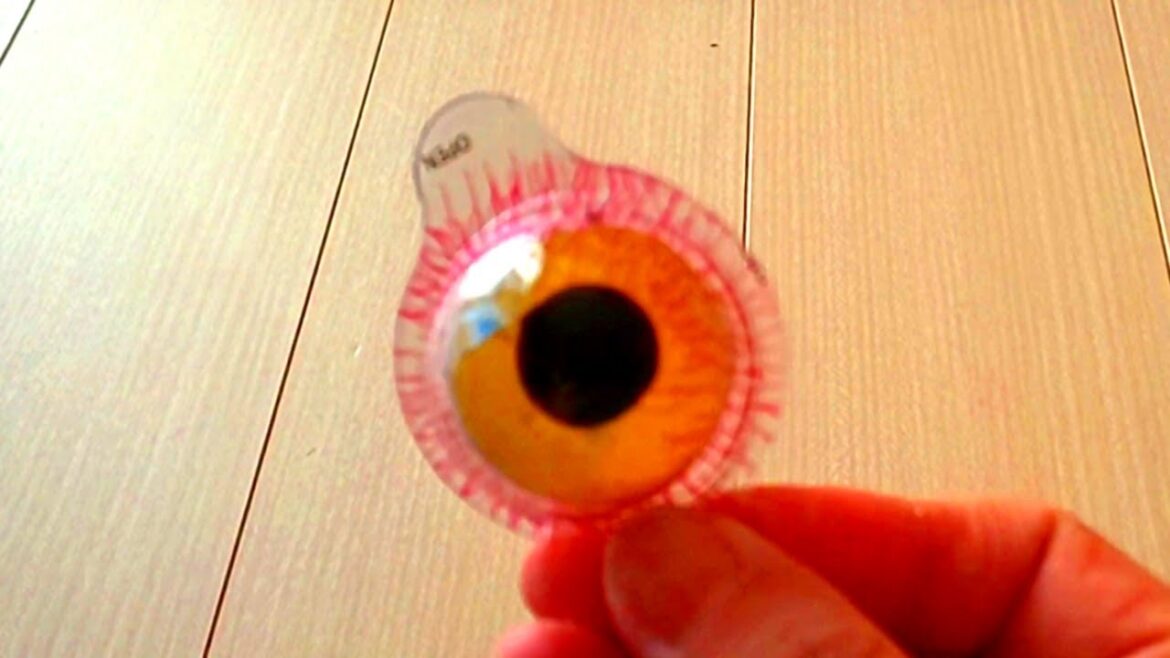 グロテスクな目玉で遊ぶのが好きな猫です【ヒマラヤン猫】