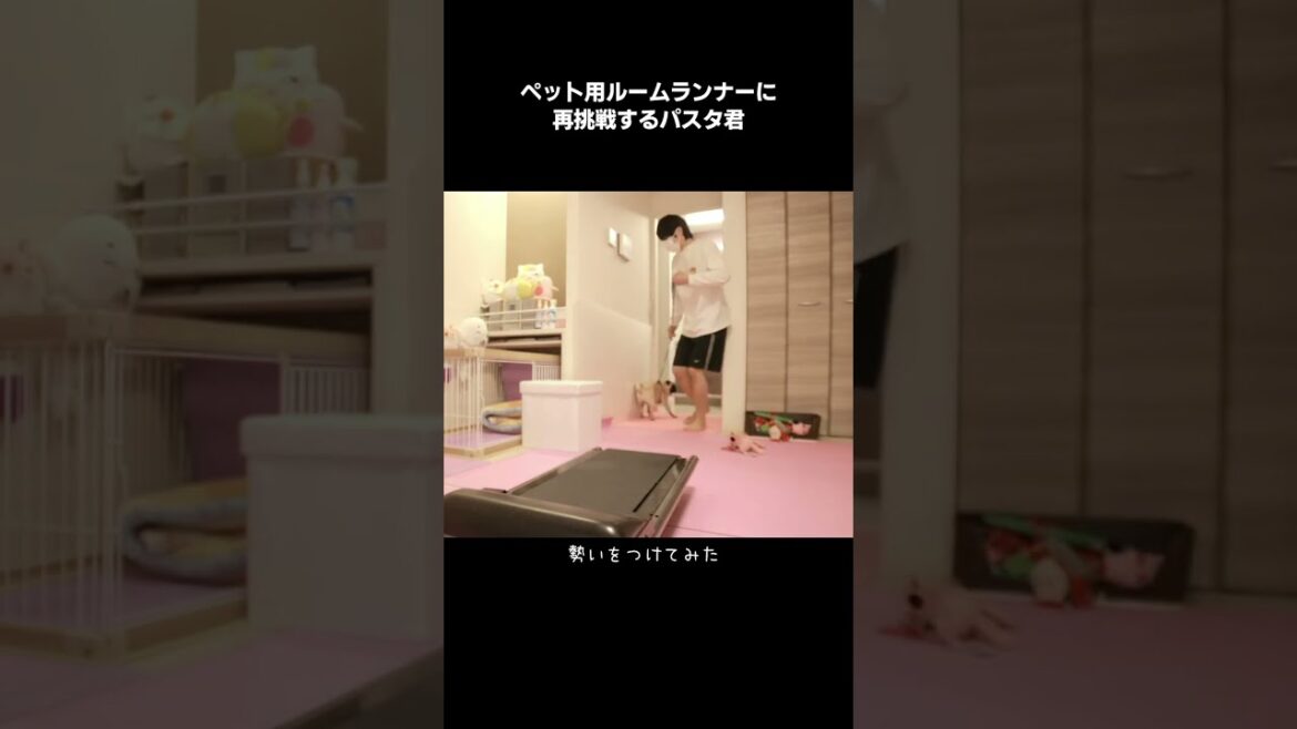 衝撃のラストWWWWWWWWWWWWW