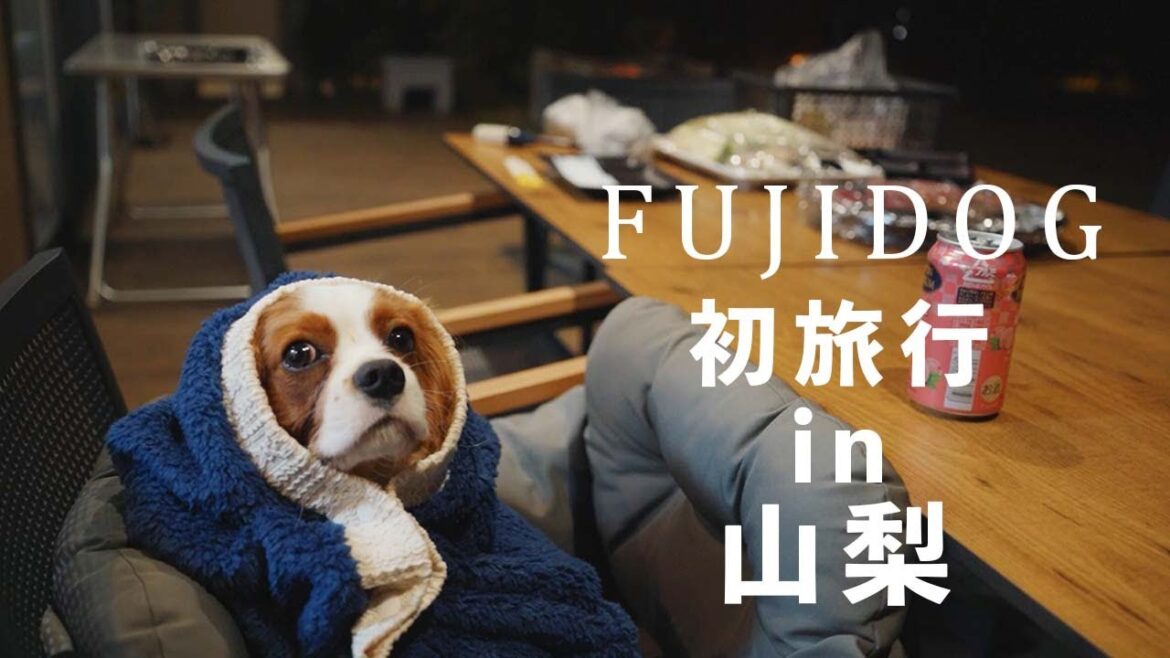 【FUJIDOG参戦】リノア家の山梨旅行