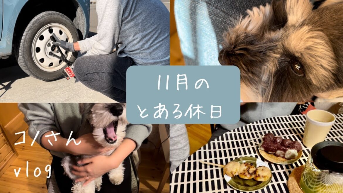 コノ一家の休日　もうすぐ冬。　～ミニシュナのコノさん vlog～