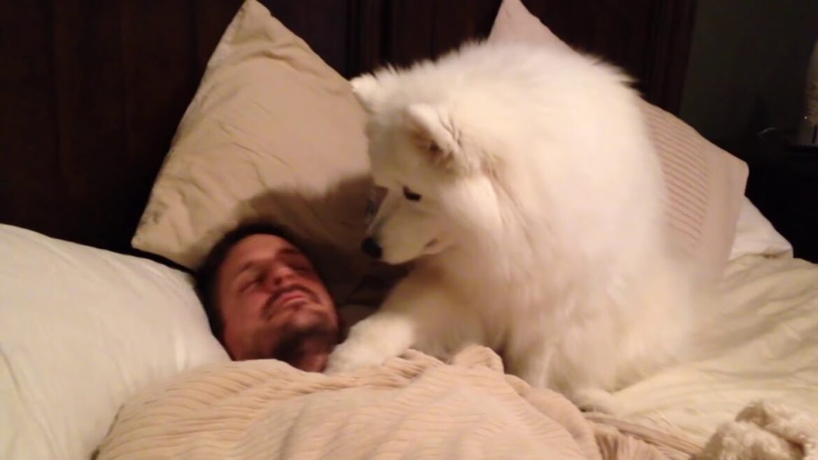 Lexi Wakes Dad UP