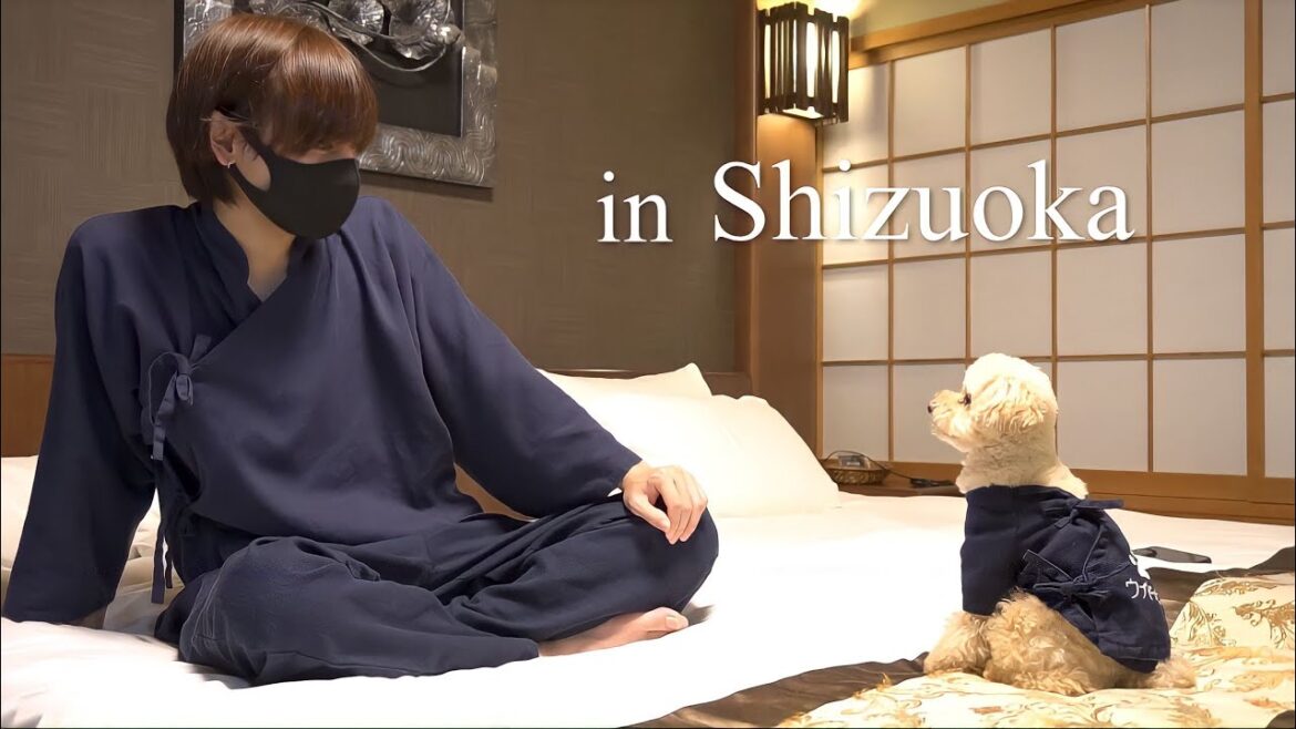 トイプードルと独身男の２泊３日の贅沢旅行【伊豆#1 】