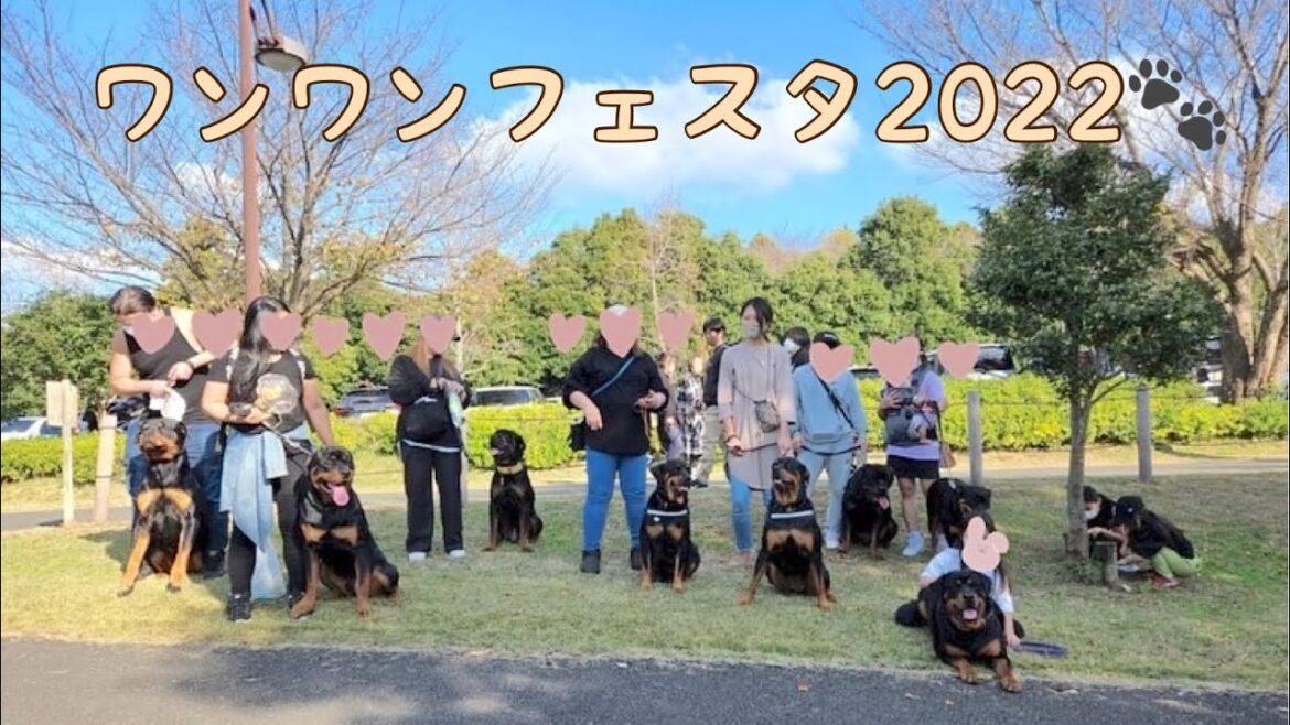 【超大型犬】ワンワンフェスタ2022がロットワイラーオフ会になってしまった🐾