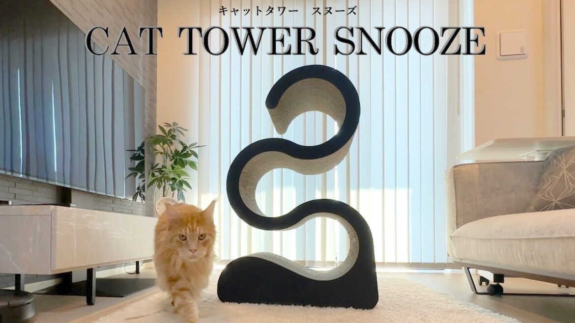 おしゃれなキャットタワー『スヌーズ』で、おしゃれに遊ぶ猫たちはこちら! おしゃれなキャットタワー『スヌーズ』で、おしゃれに遊ぶ猫たちはこちら!