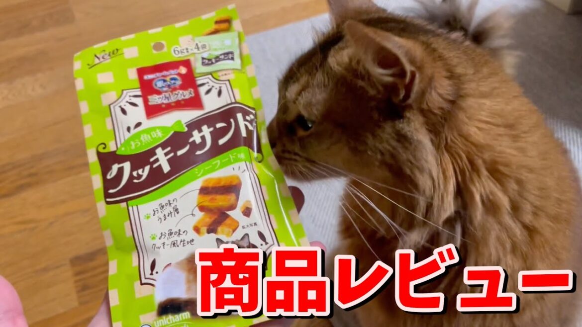 【レビュー】美味しそうなクッキーにやみつき!【ソマリ】 【レビュー】美味しそうなクッキーにやみつき!【ソマリ】