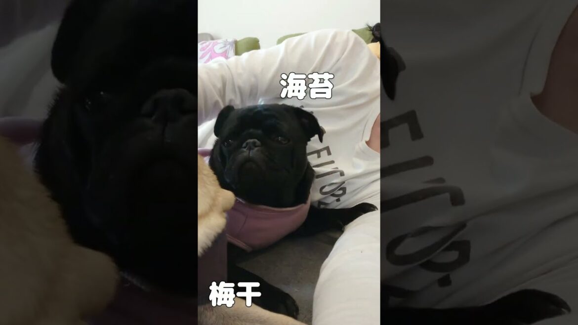 キャンプの翌日はＷ腕枕で寝っぱなしです( *´艸｀)