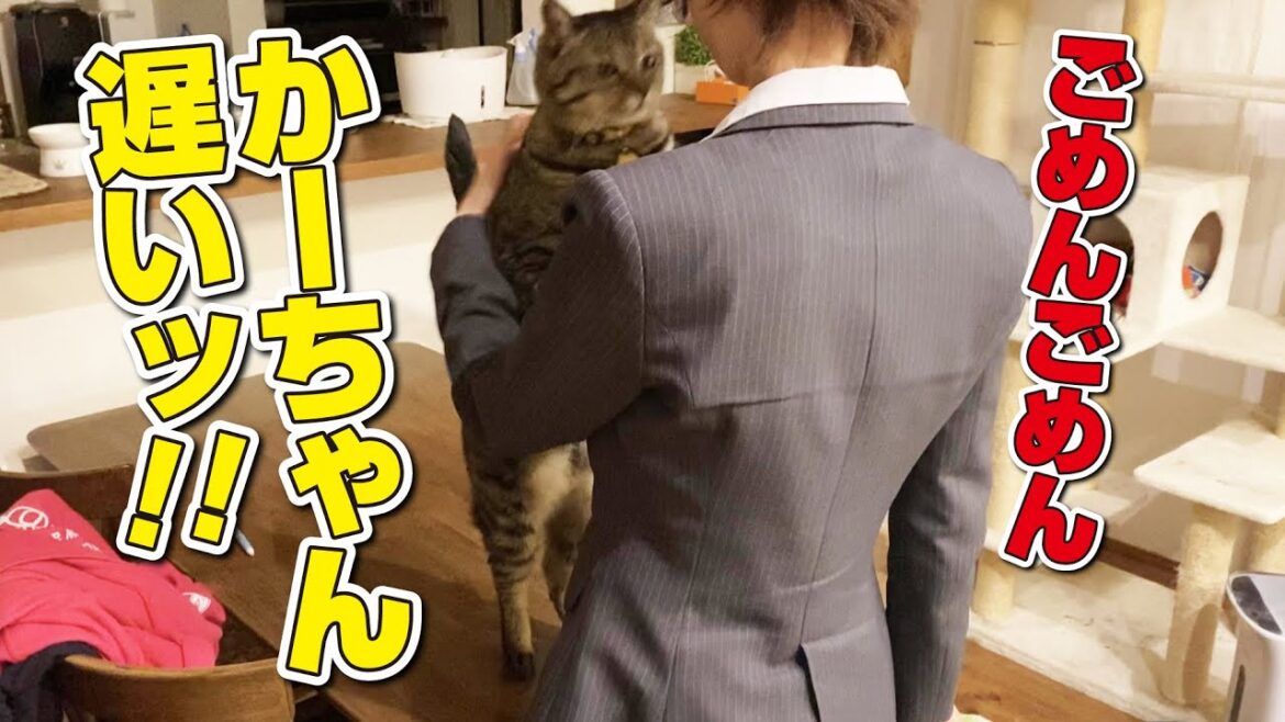 お出掛け先から帰ってきたお母さんに猫がすっ飛んできて…！？