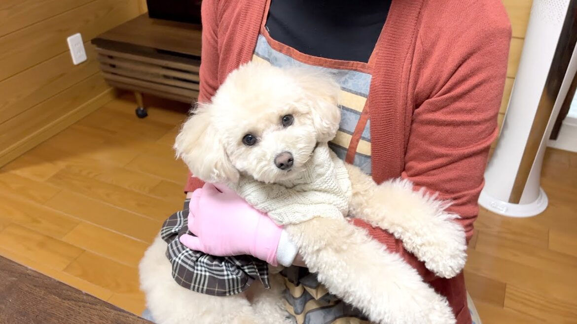 バァバのちょっとした悩みがあるようです…