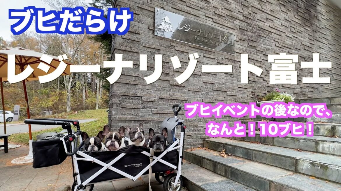 レジーナリゾート富士 【 french_bulldog フレンチブルドッグ 】イベント後の宿泊