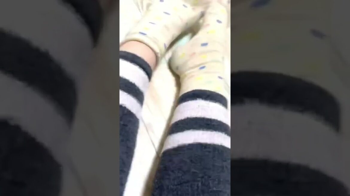 ボールを必死で追いかけるスキッパーキー