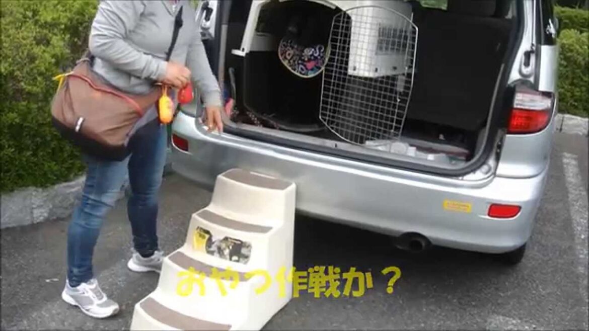 ニューファンドランドの「お、おやつは、、、」
