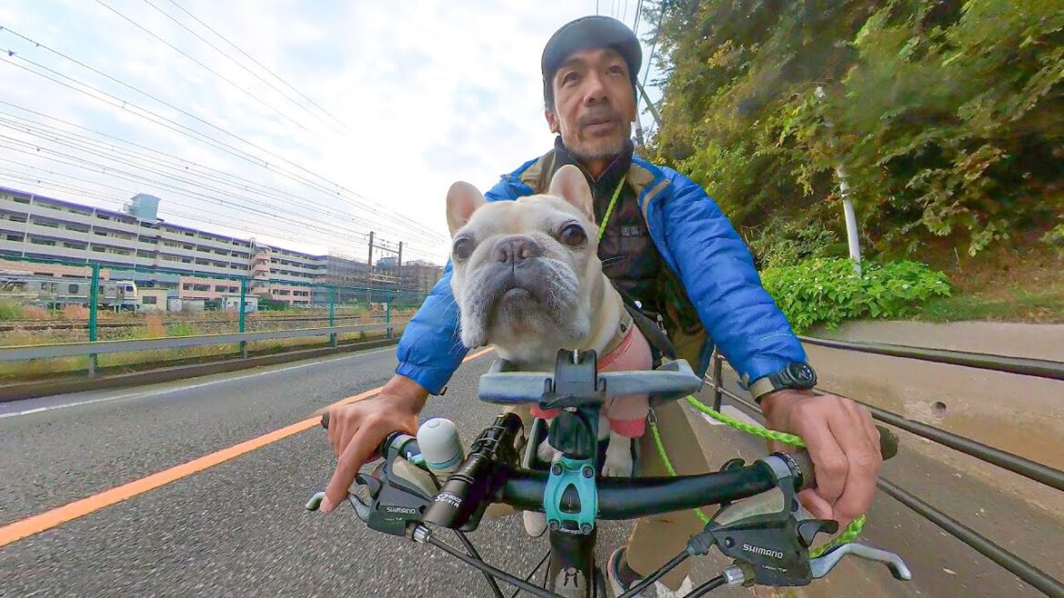 自転車に乗る犬が可愛く撮れる魔法の組み合わせ見つけた